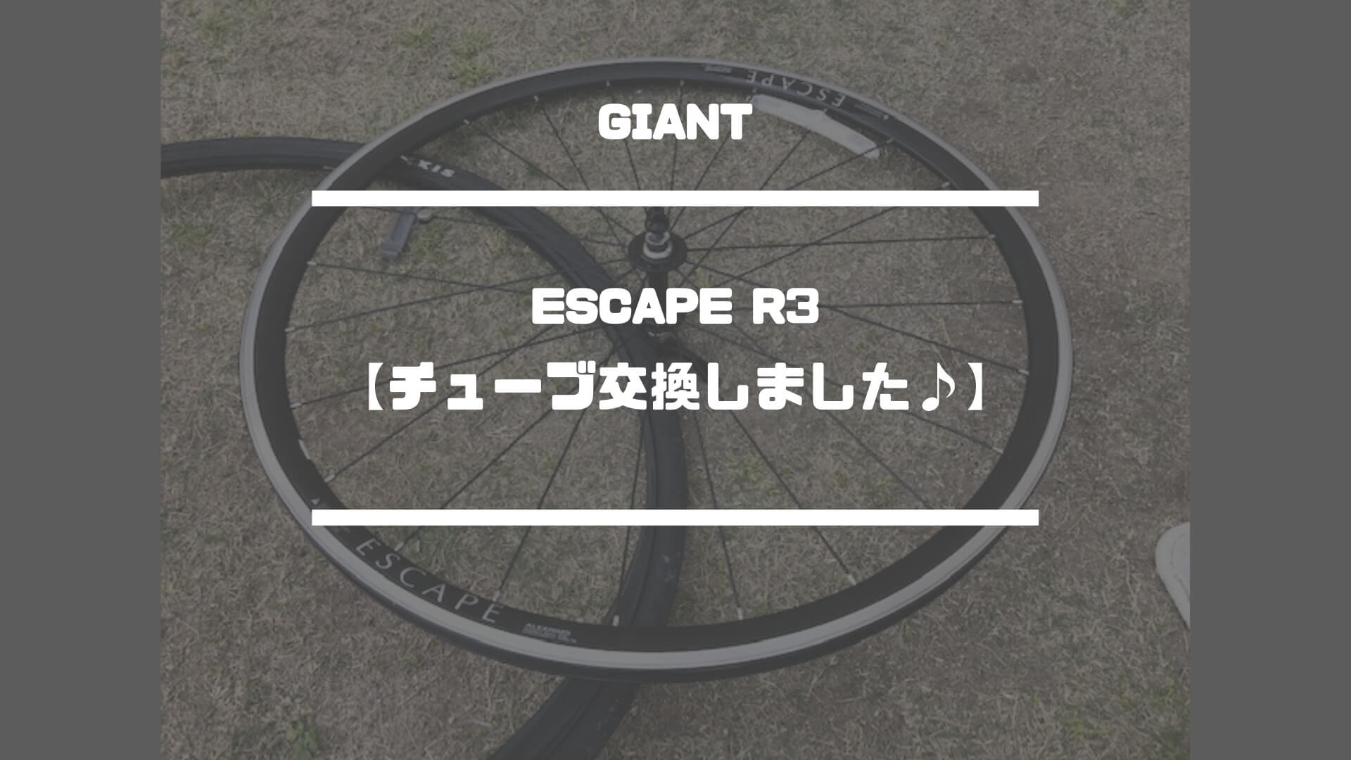 GIANT【パンクしたのでチューブ交換♪】ESCAPE R3｜としぶろ