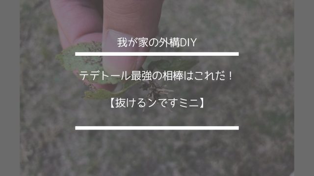 我が家の外構DIY【抜けるンですミニ】テデトール最強の相棒はこれだ！