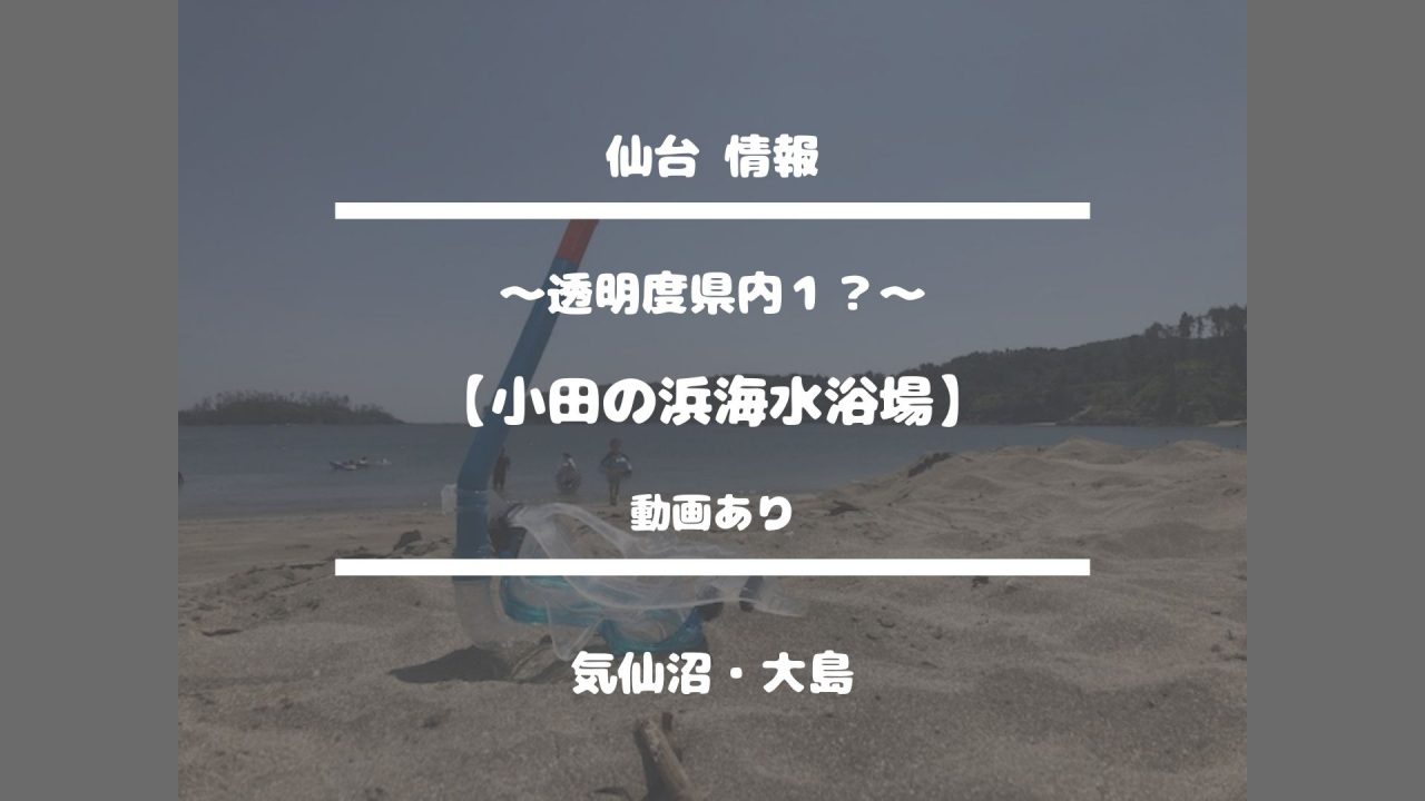 仙台情報【〜透明度県内１？〜小田の浜海水浴場】気仙沼・大島